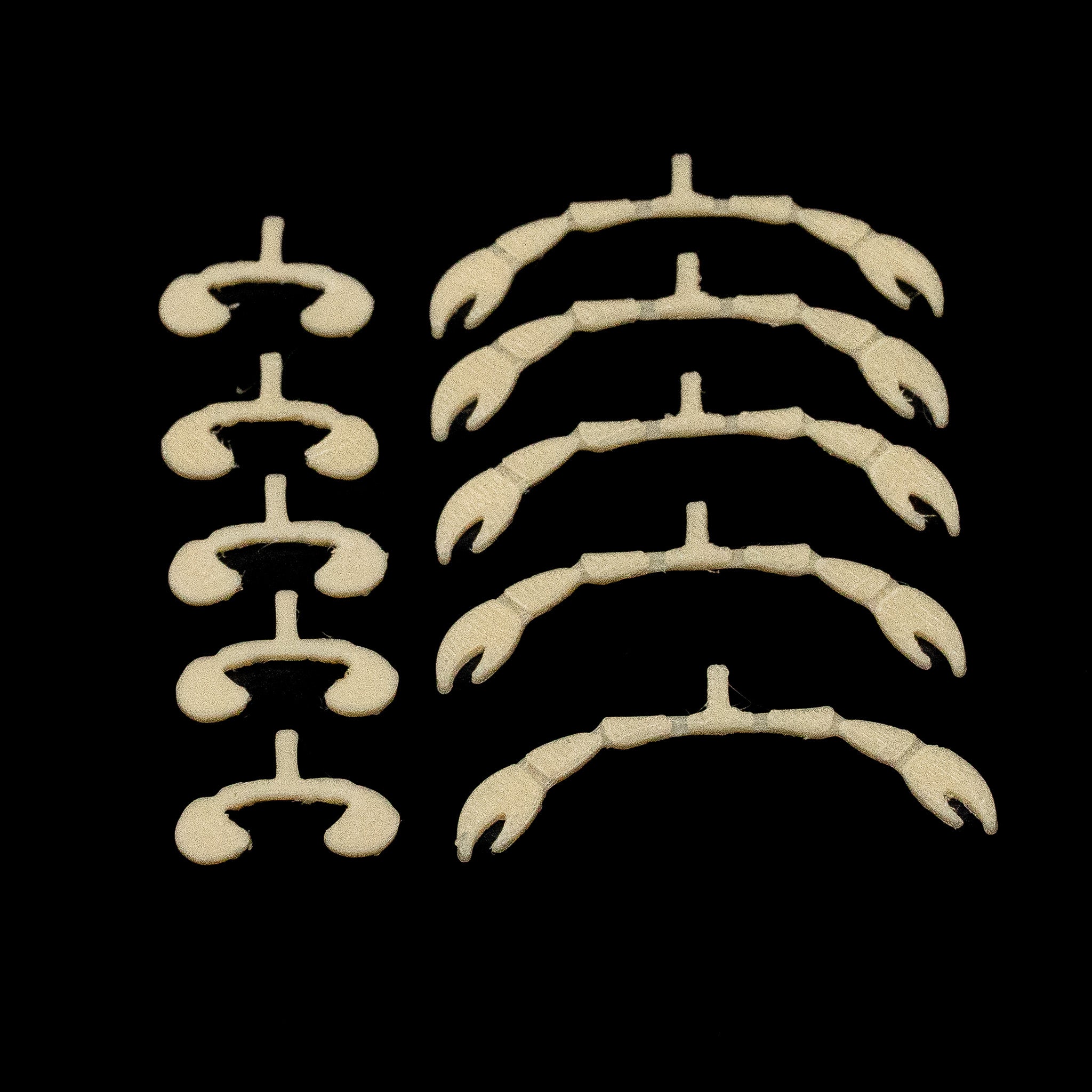 Cajun Blue Crab – Finatics Fly Company