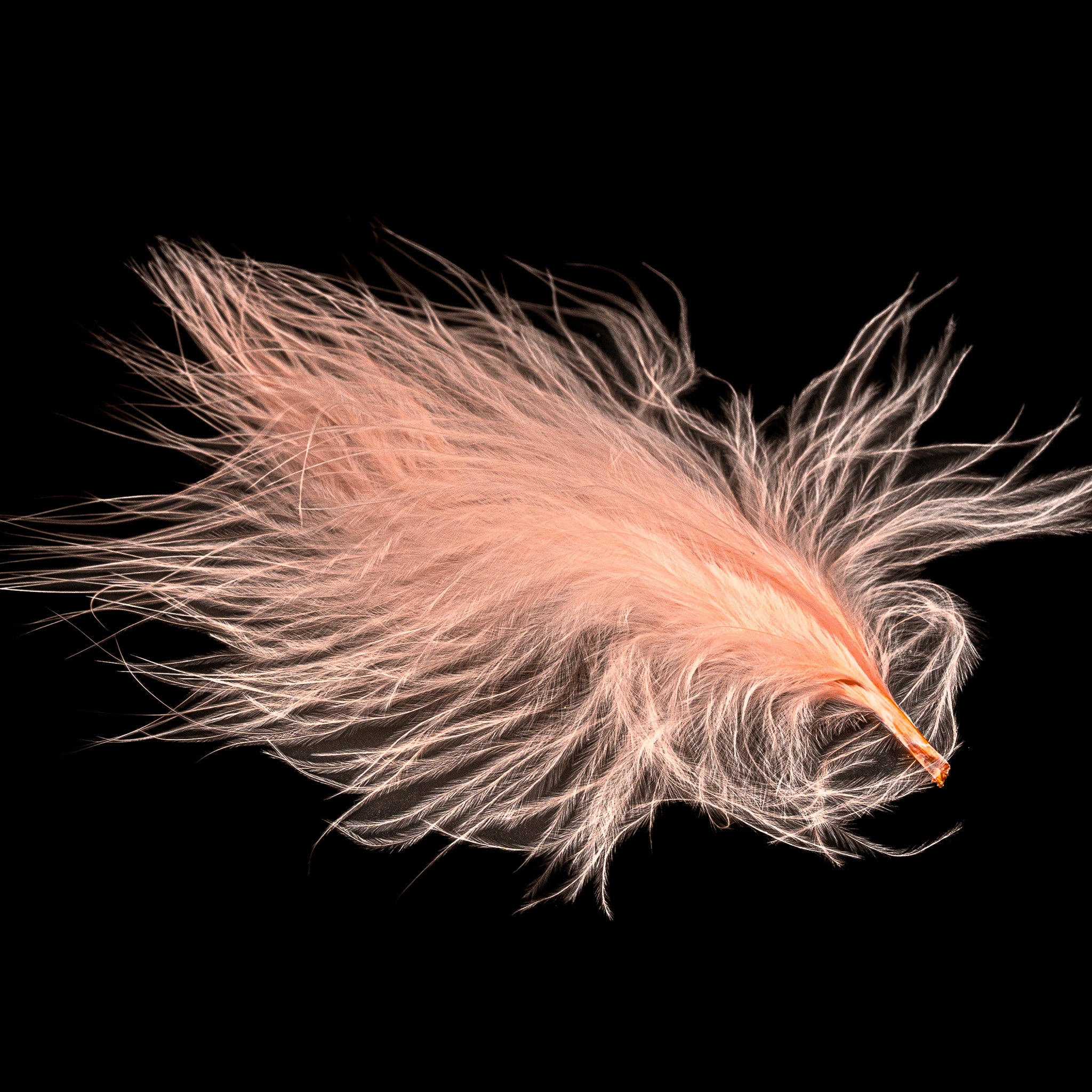 Finatics Premium Loose Marabou – 3" to 5" Plumes- Finatics Fly Company