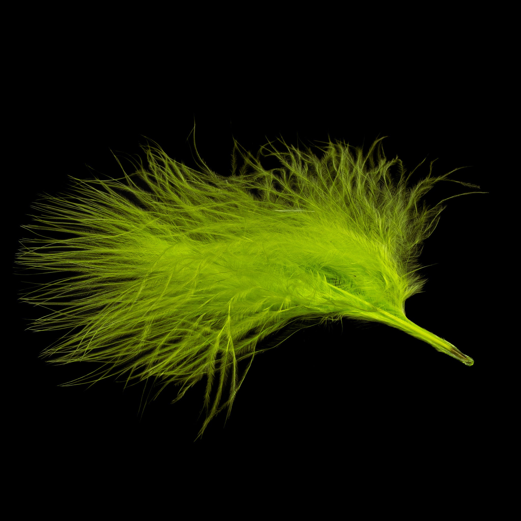 Finatics Premium Loose Marabou – 3" to 5" Plumes- Finatics Fly Company