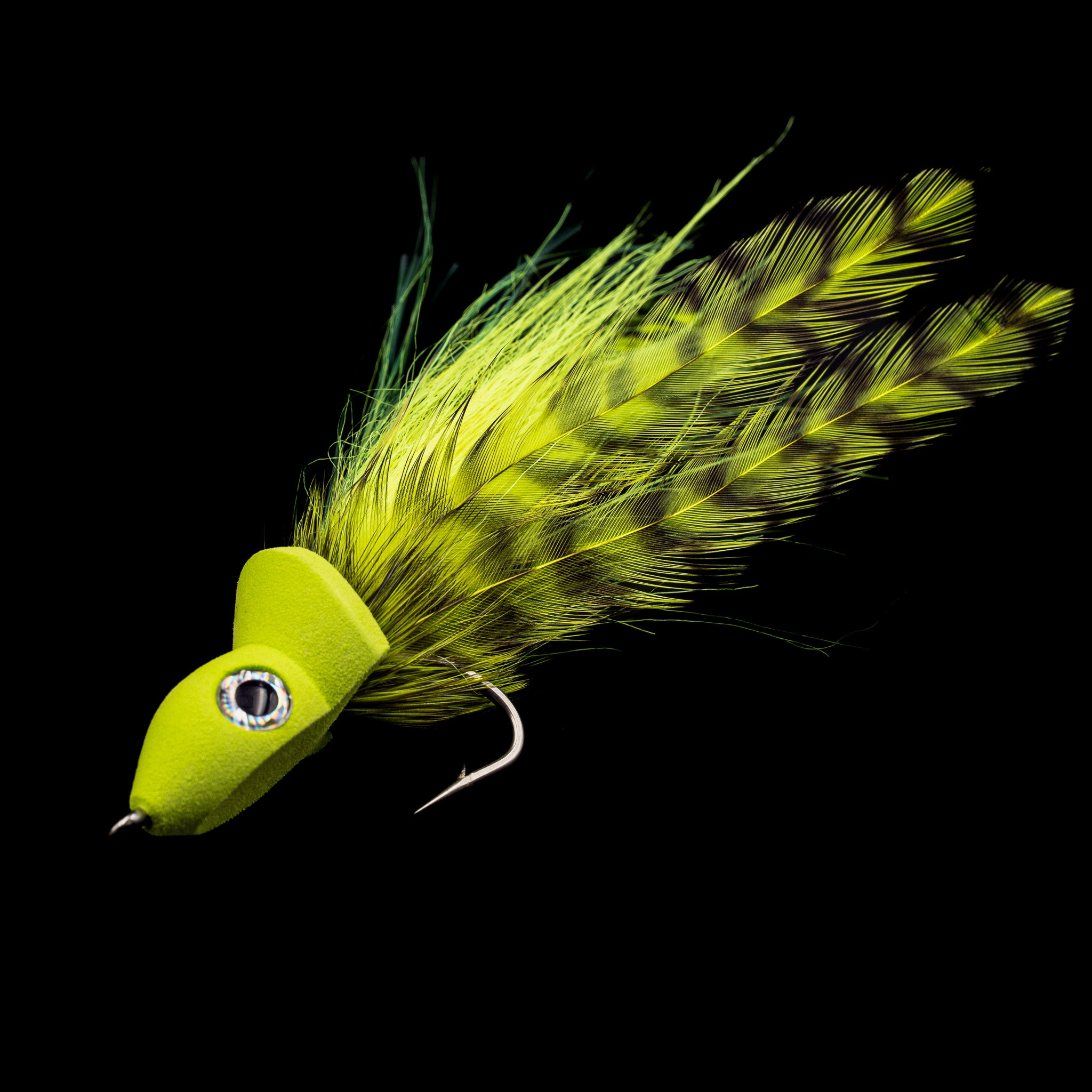 Stripped Bass & Bluefish