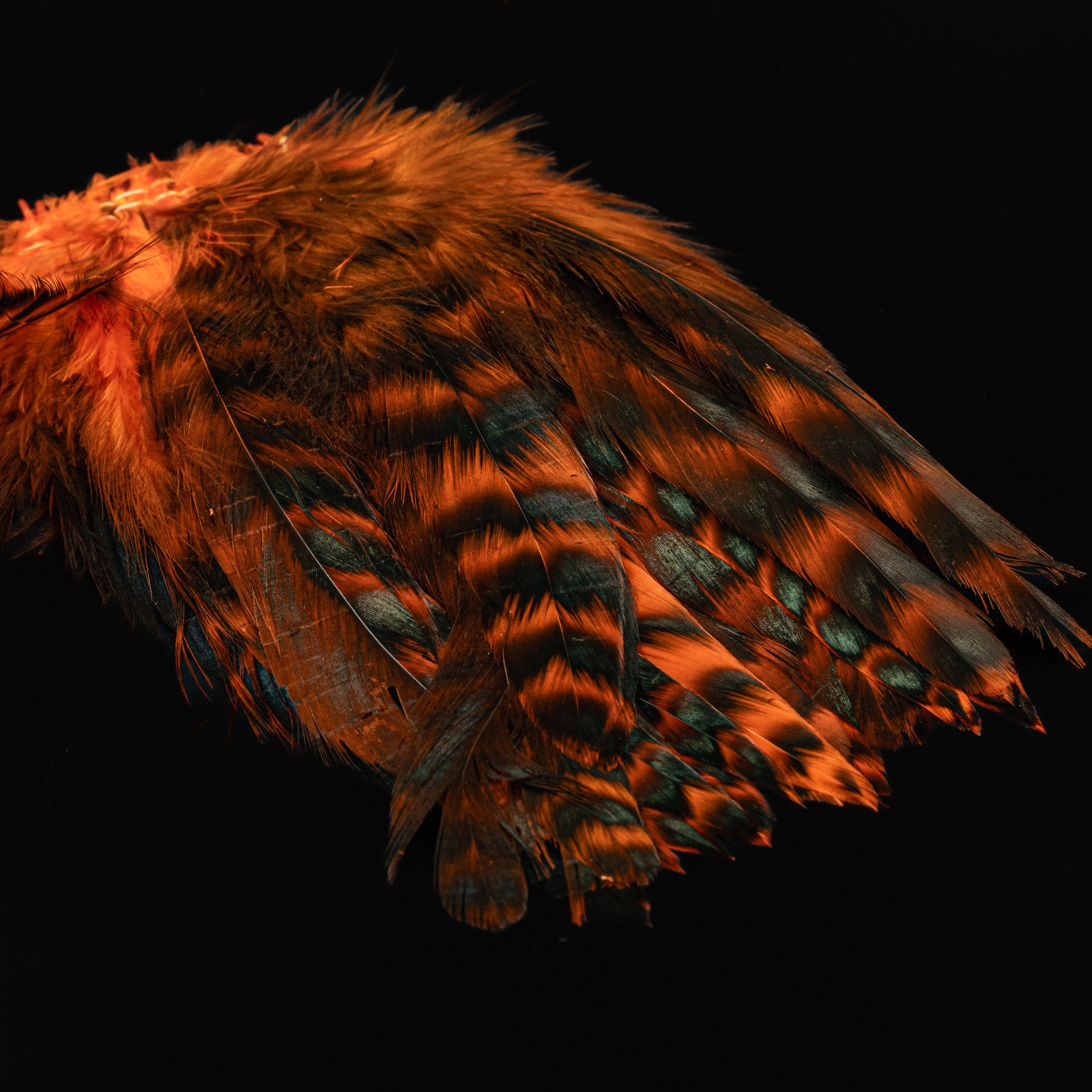 Grizzly Variant Schlappen- Nature's Spirit