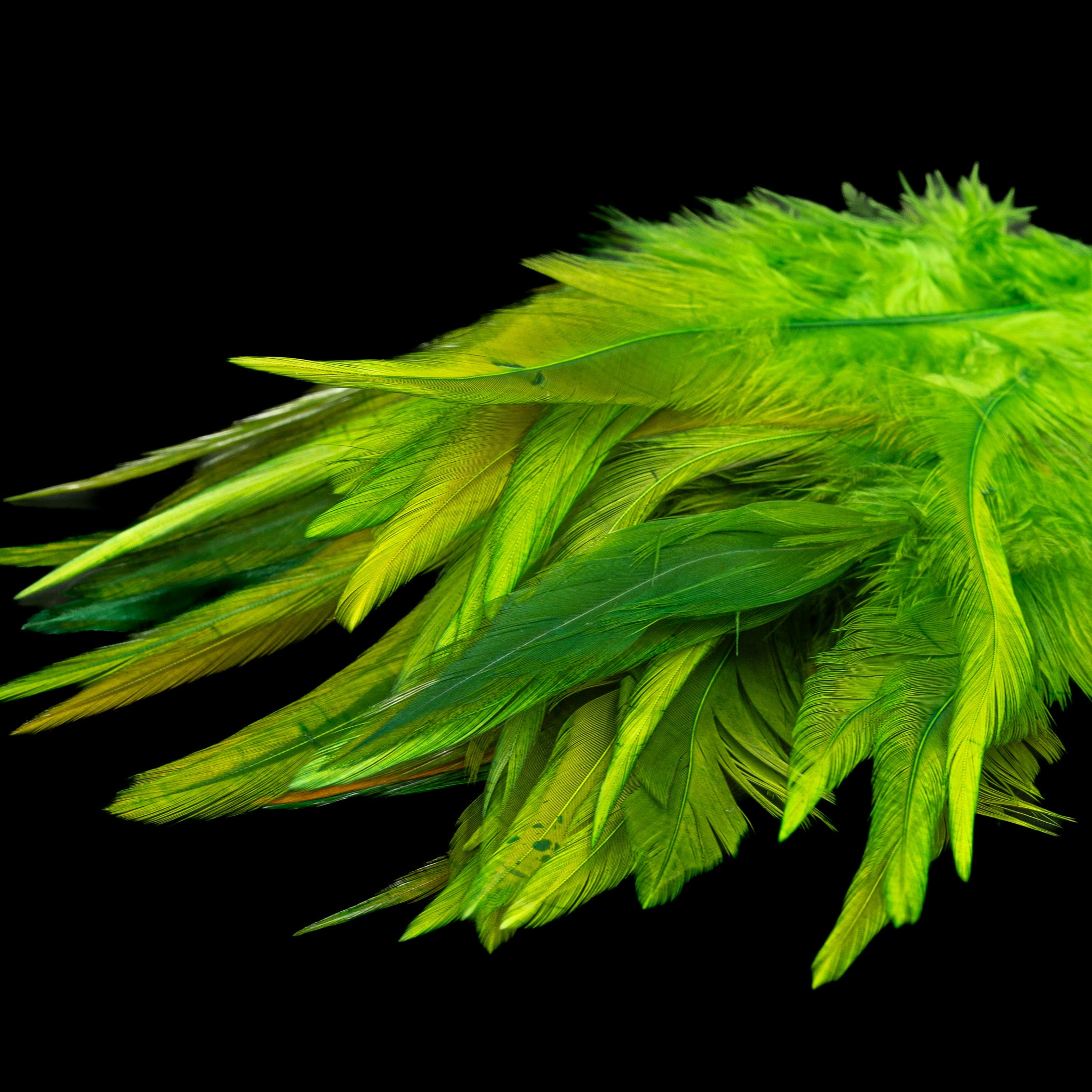 Strung Saddle - Nature's Spirit