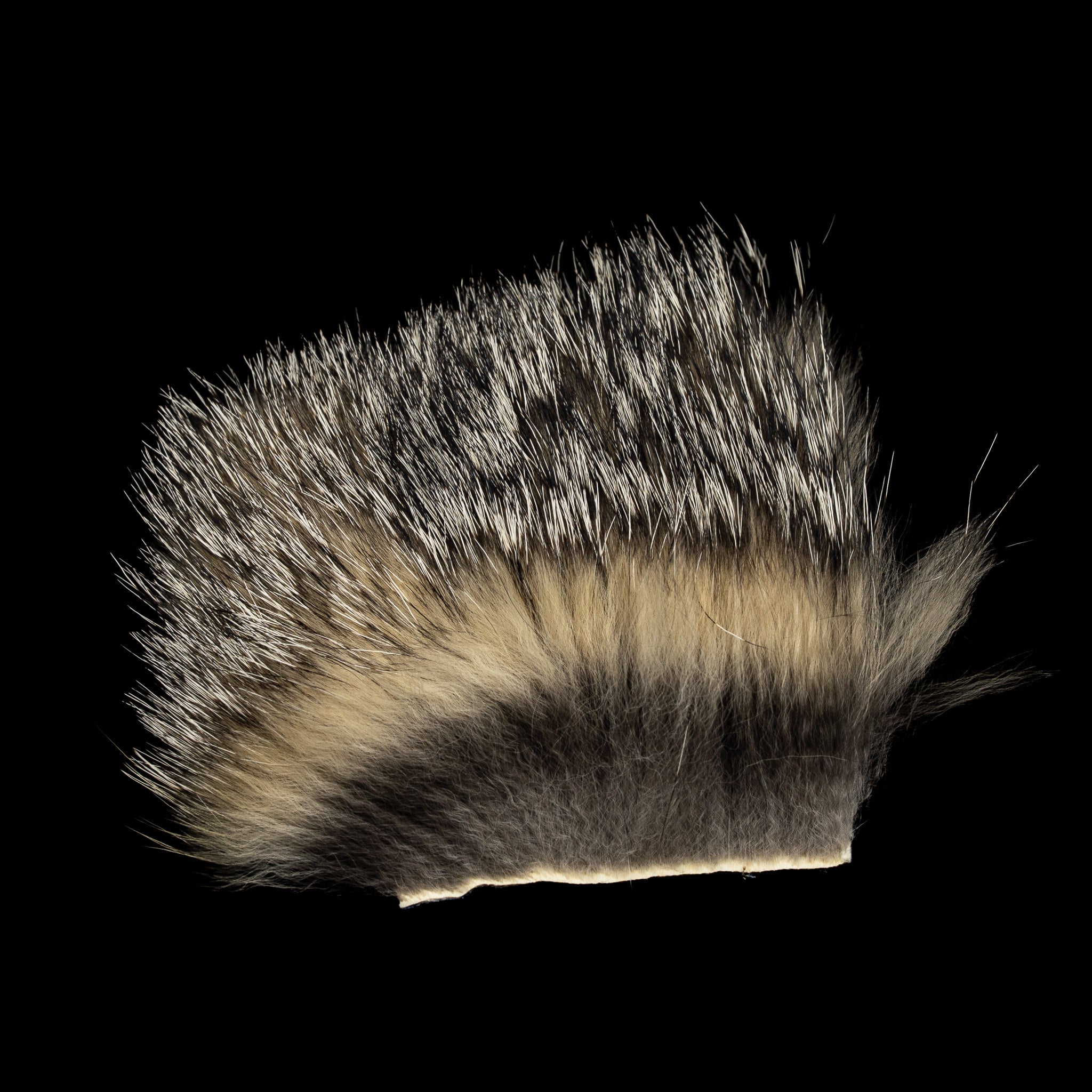 Gray Fox Premium Wing Fur - Nature's Spirit