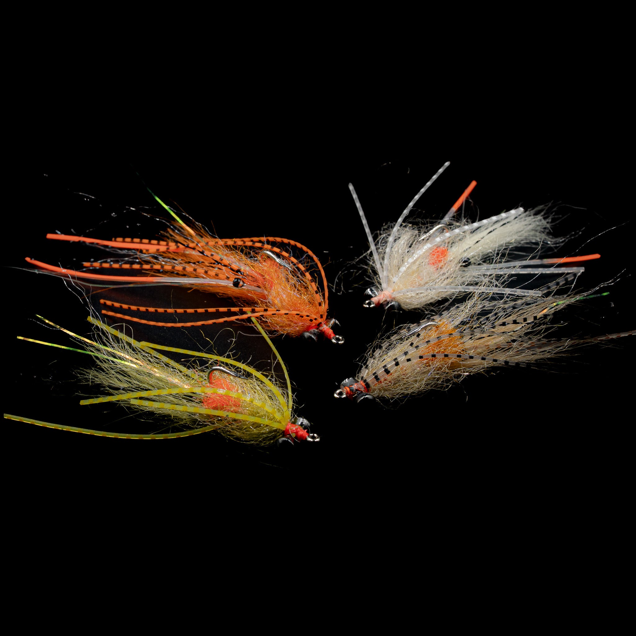 MFC Spawning Shrimp
