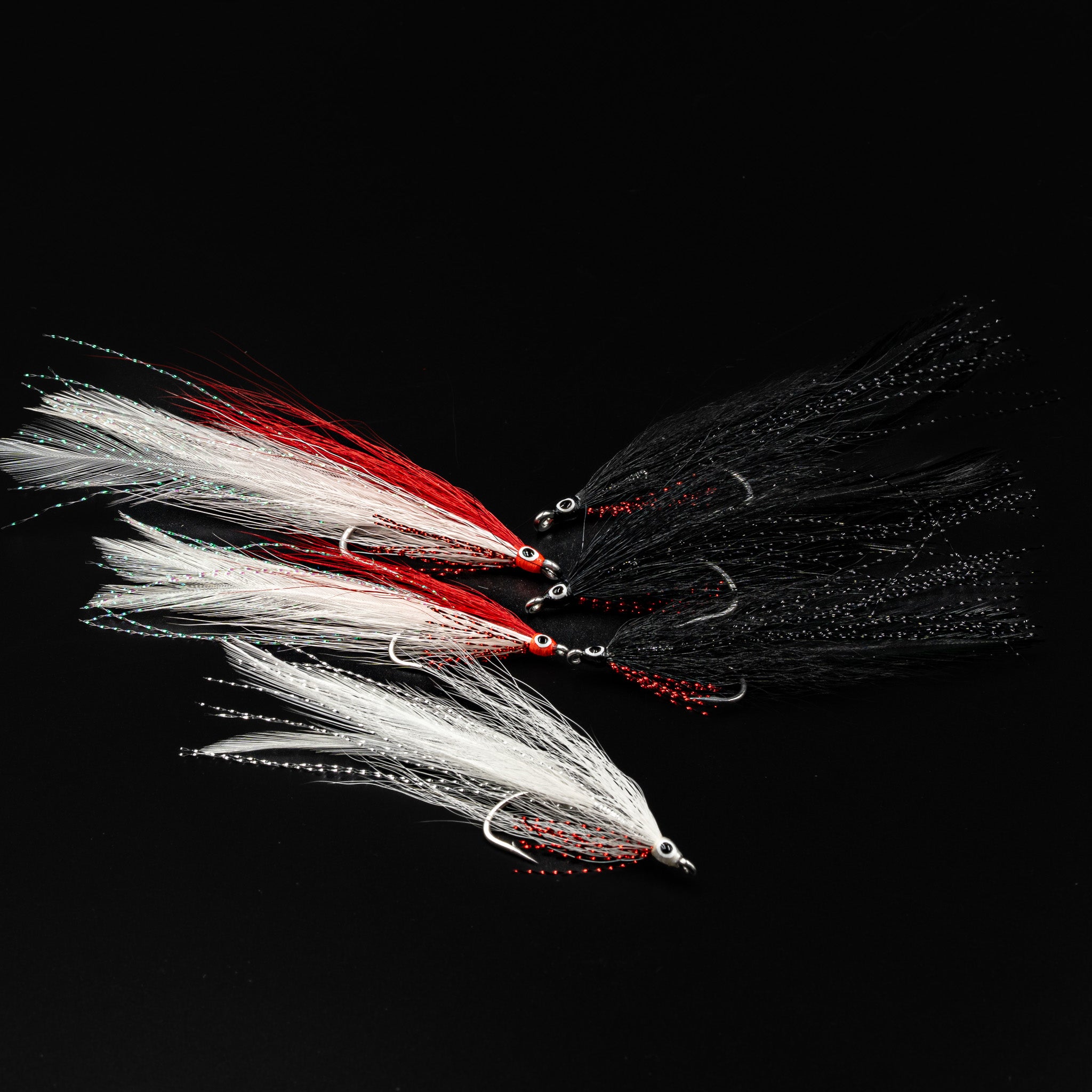 Stripped Bass & Bluefish