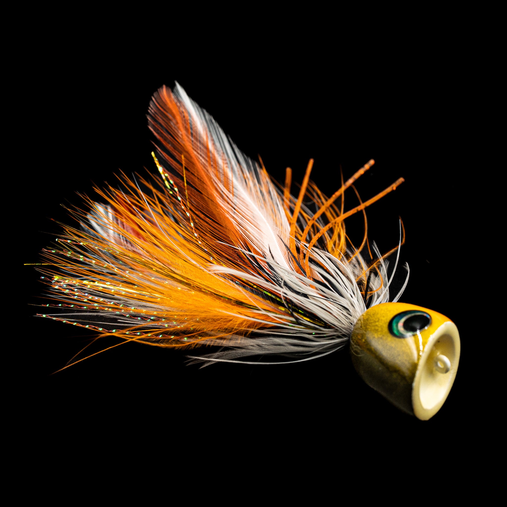 Stripped Bass & Bluefish