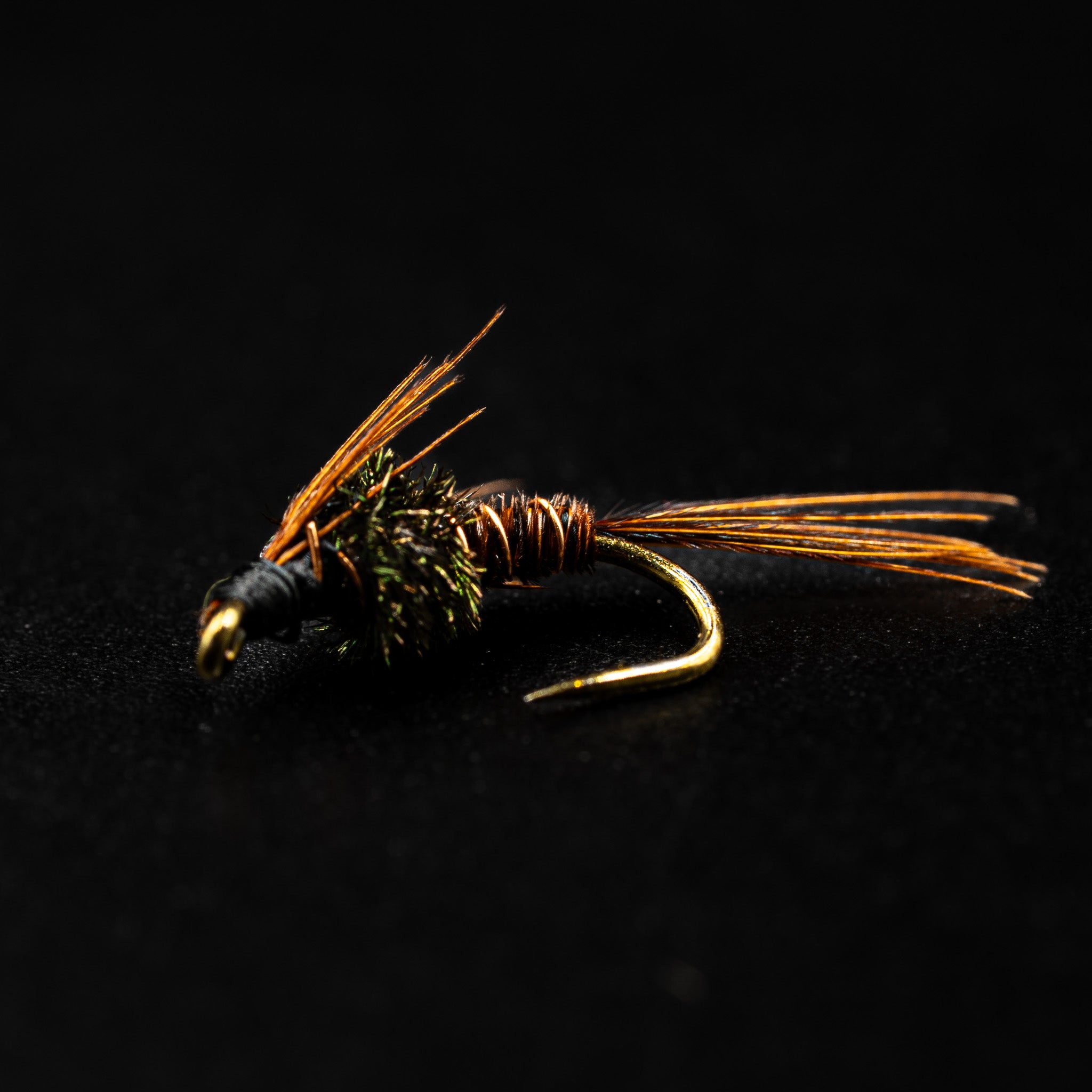 Nymphs