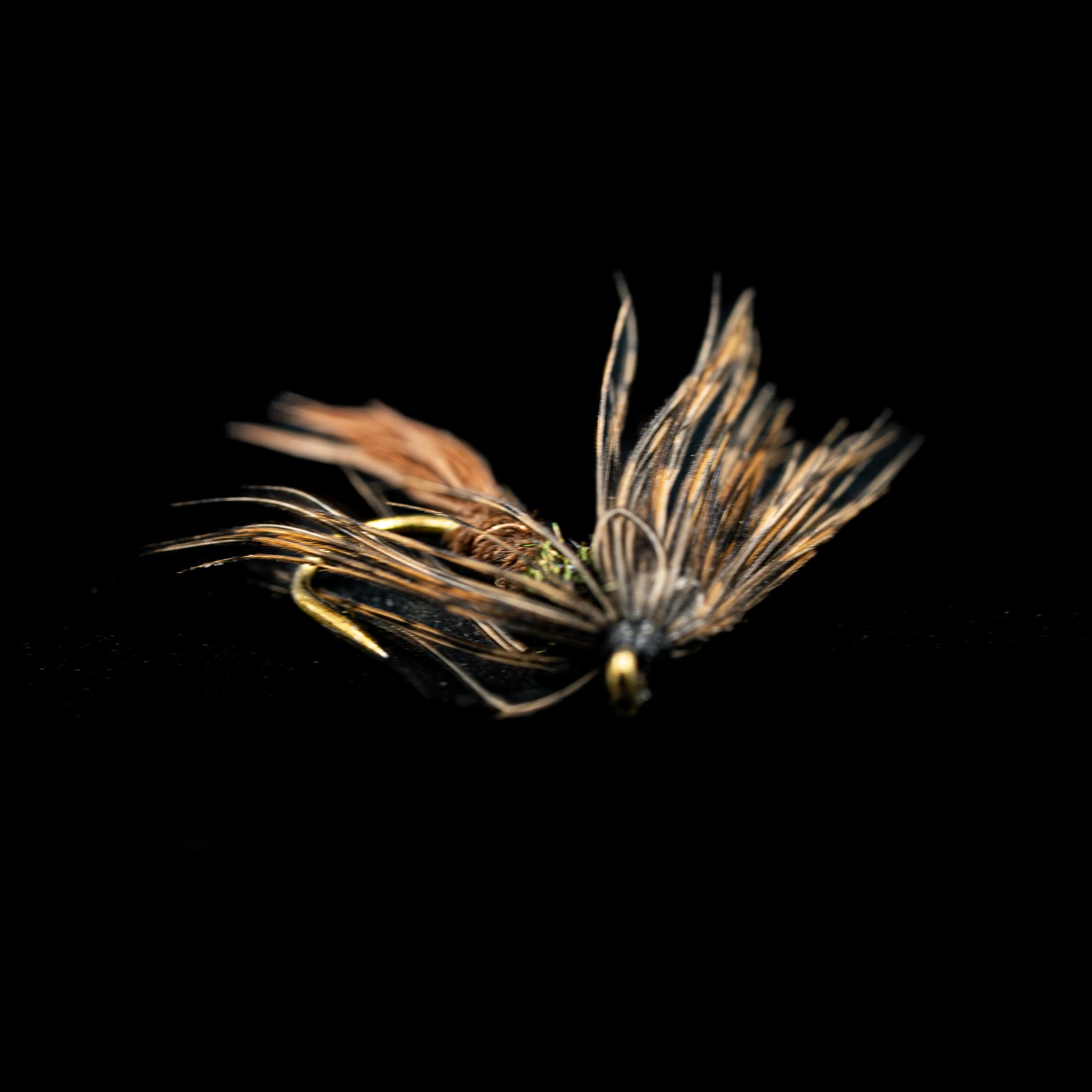 Nymphs