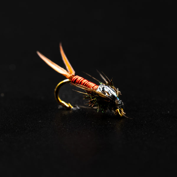 Trout