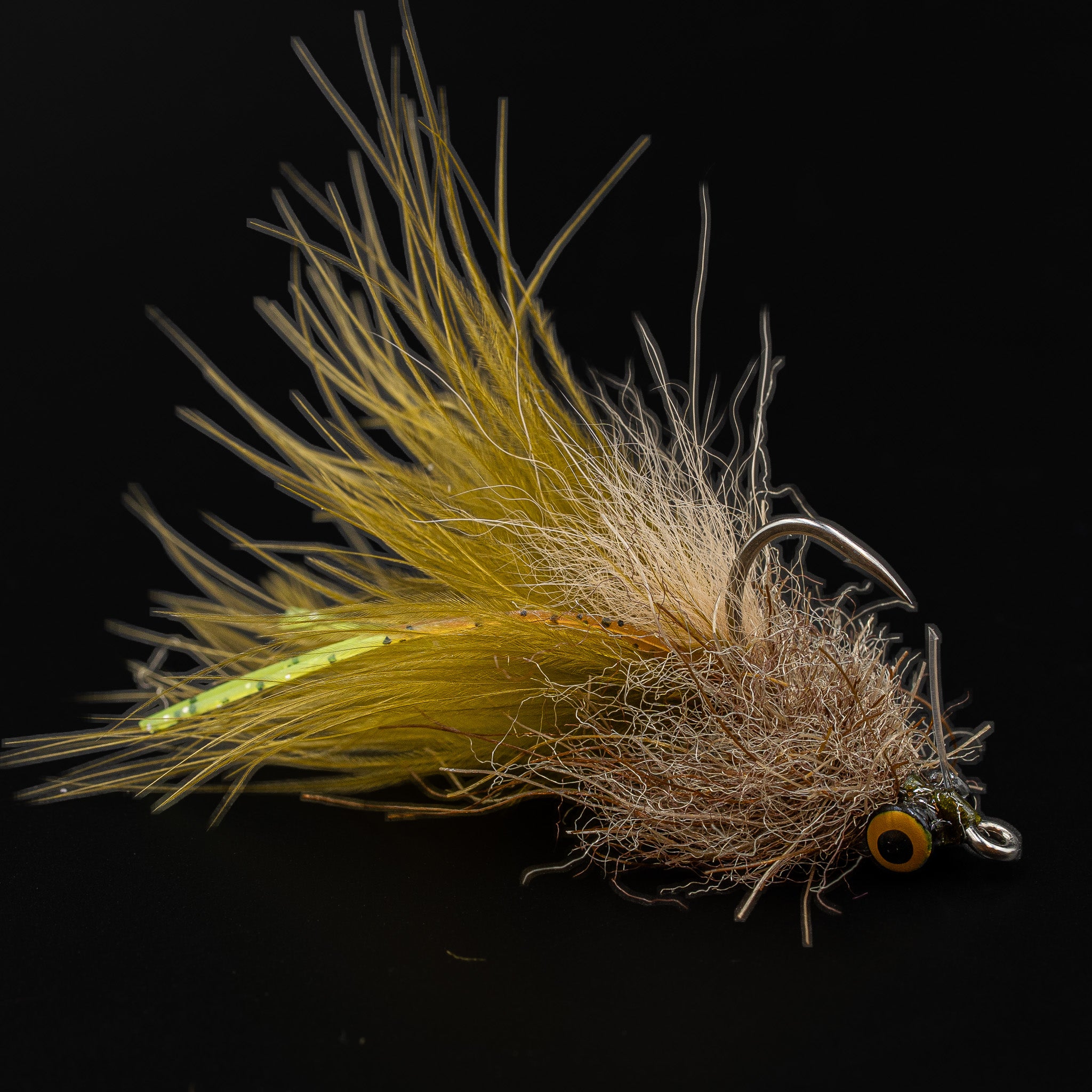 Bull of the Bayou