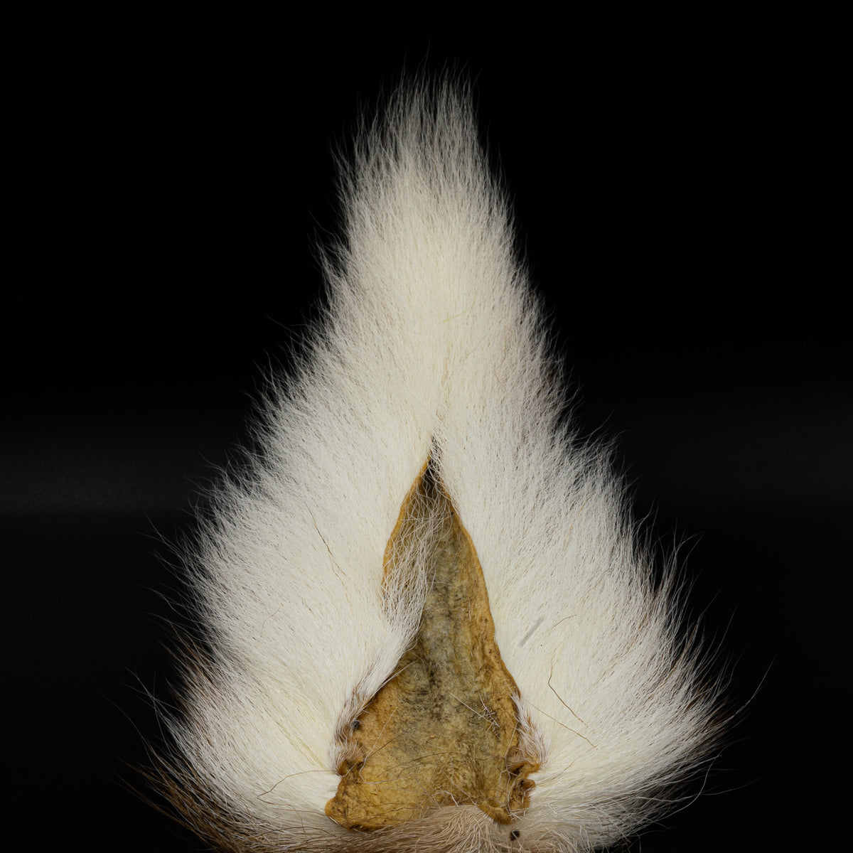 Gentleman's Grade Bucktail - Fluorescent White