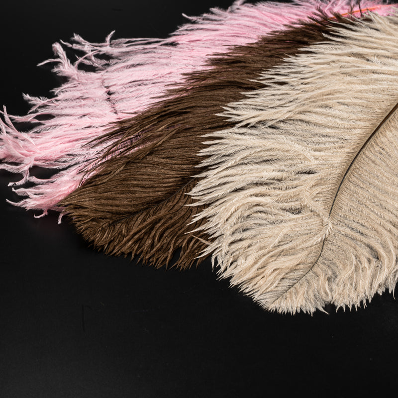 FINATICS Ostrich Plume in Pink, Tan and Brown