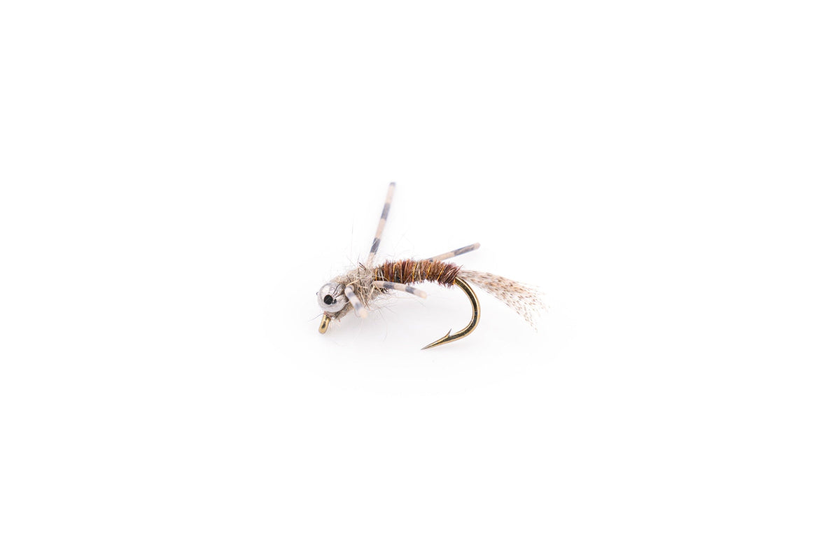 American Nymph