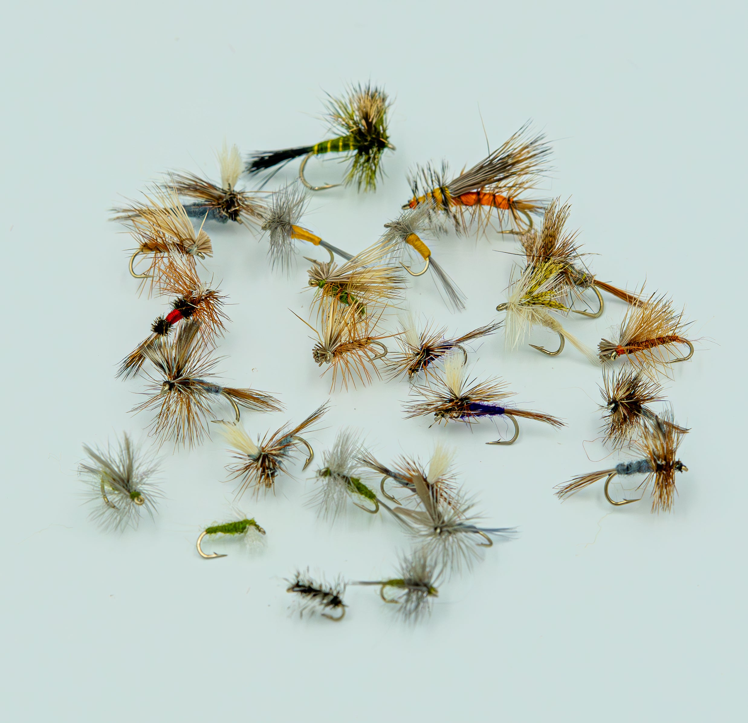 Nymphs