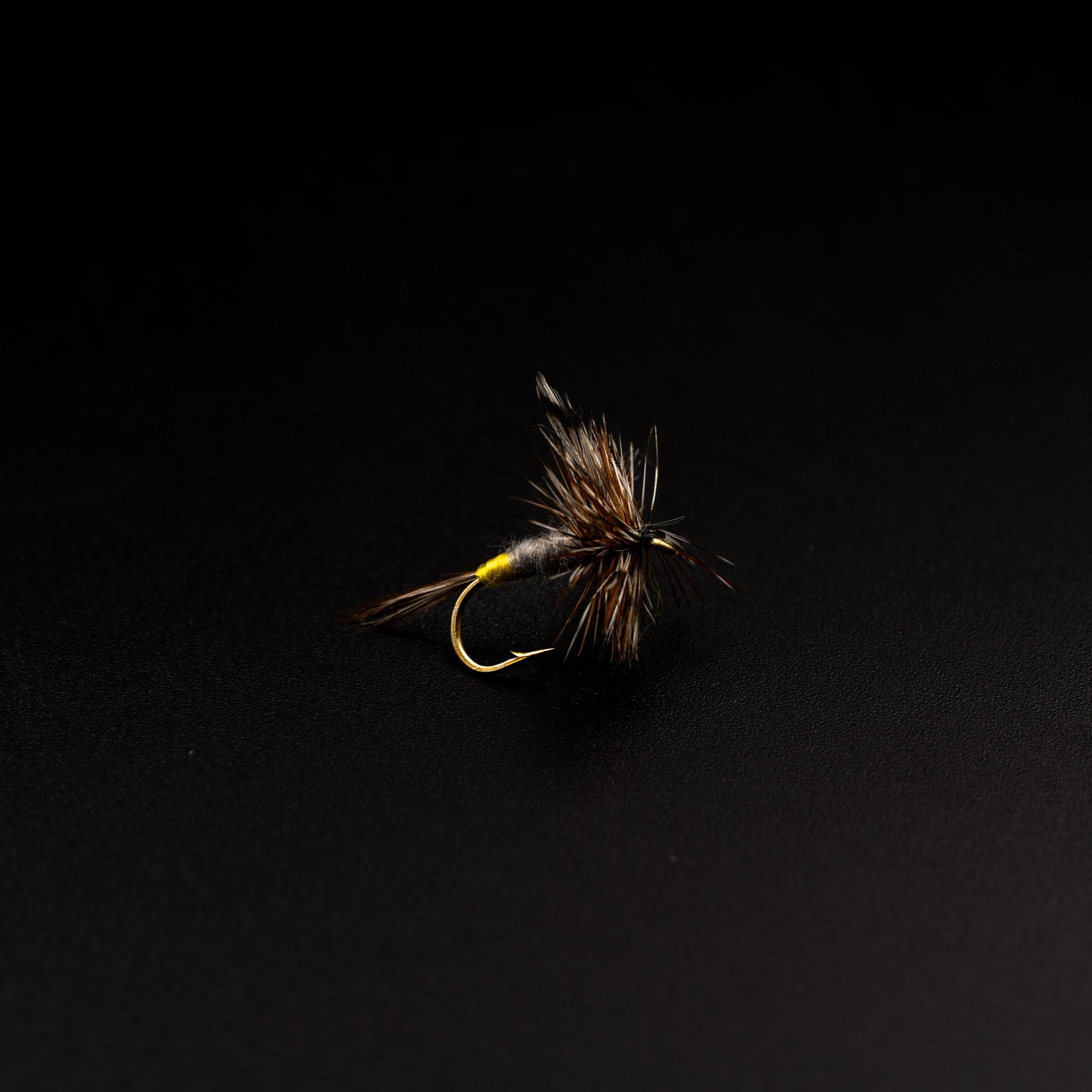 Mayflies