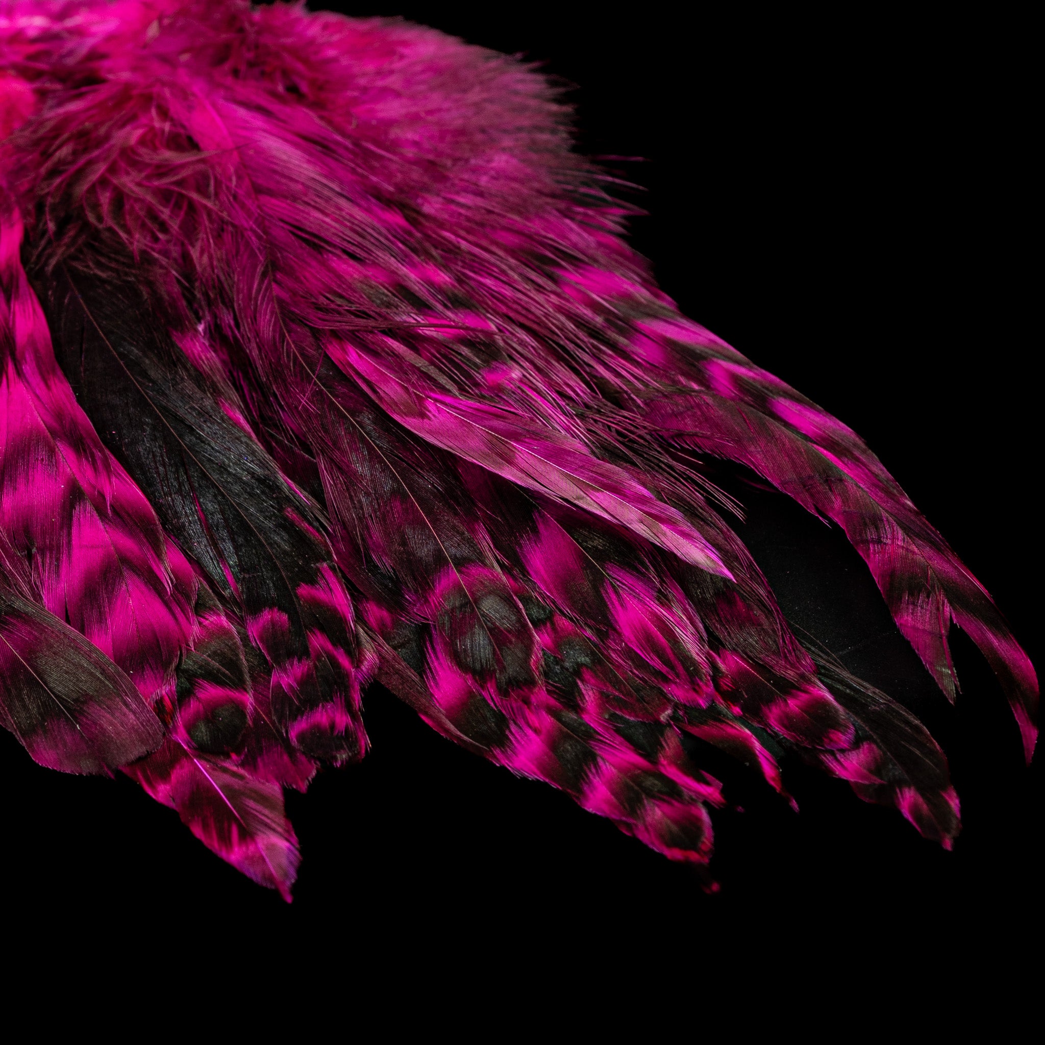 Grizzly Variant Schlappen- Nature's Spirit