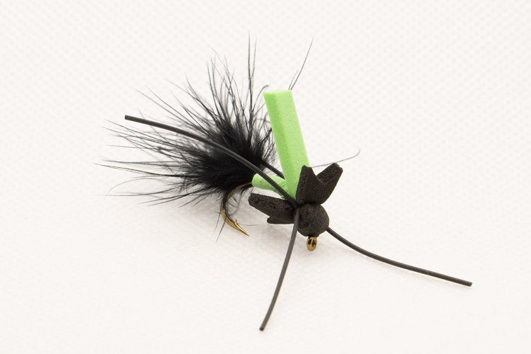 Foam Spider