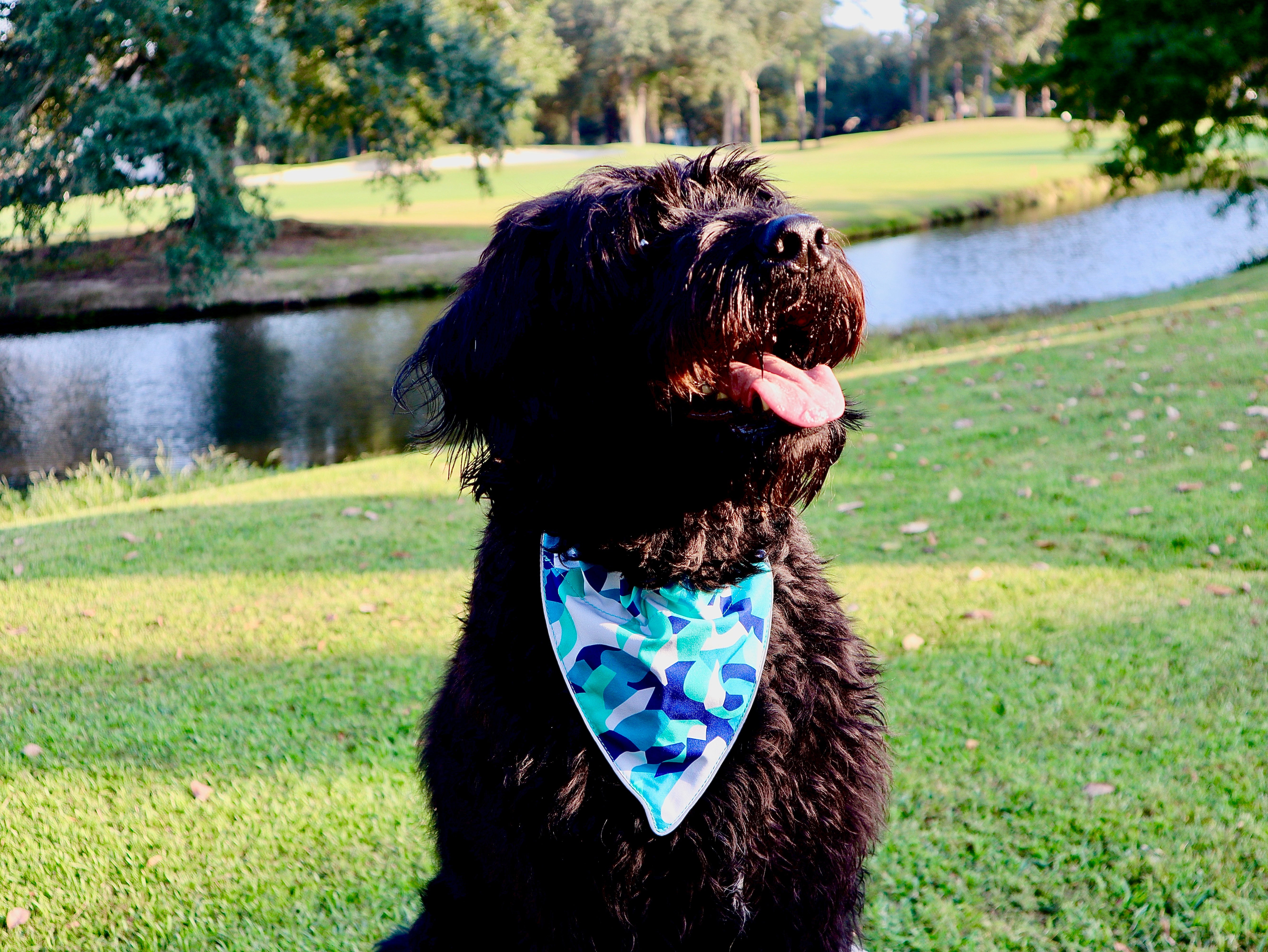 Wingo Bernie Bandana