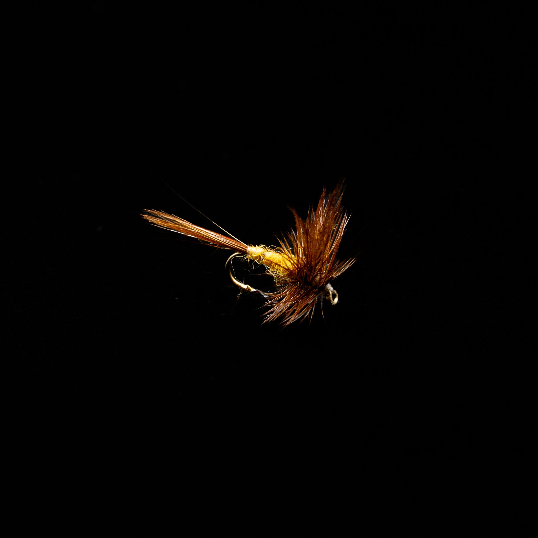 Sulphur Dun