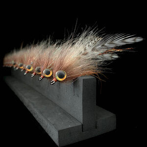 Matogorda Mullet