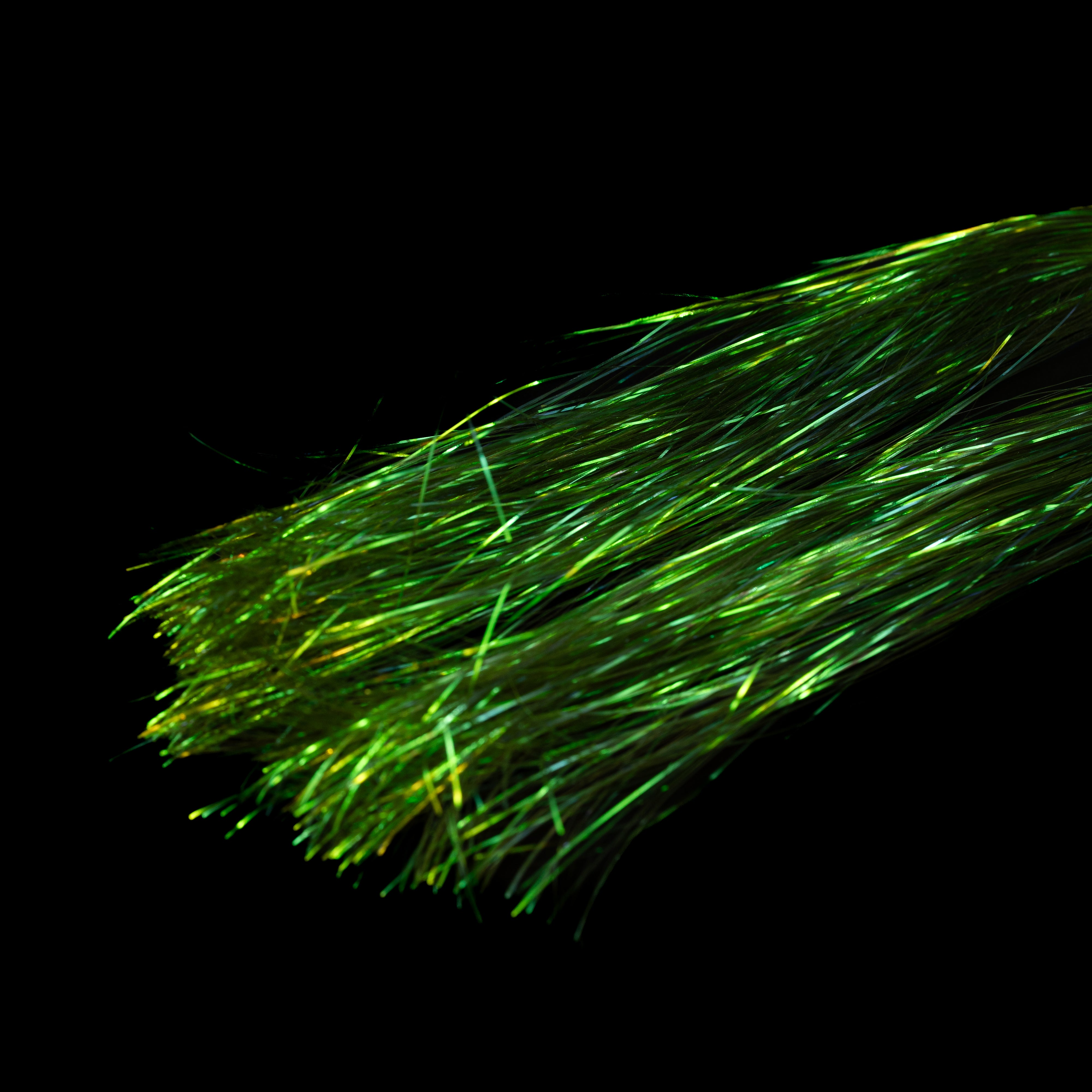 Canal St. Flash– Finatics Fly Company