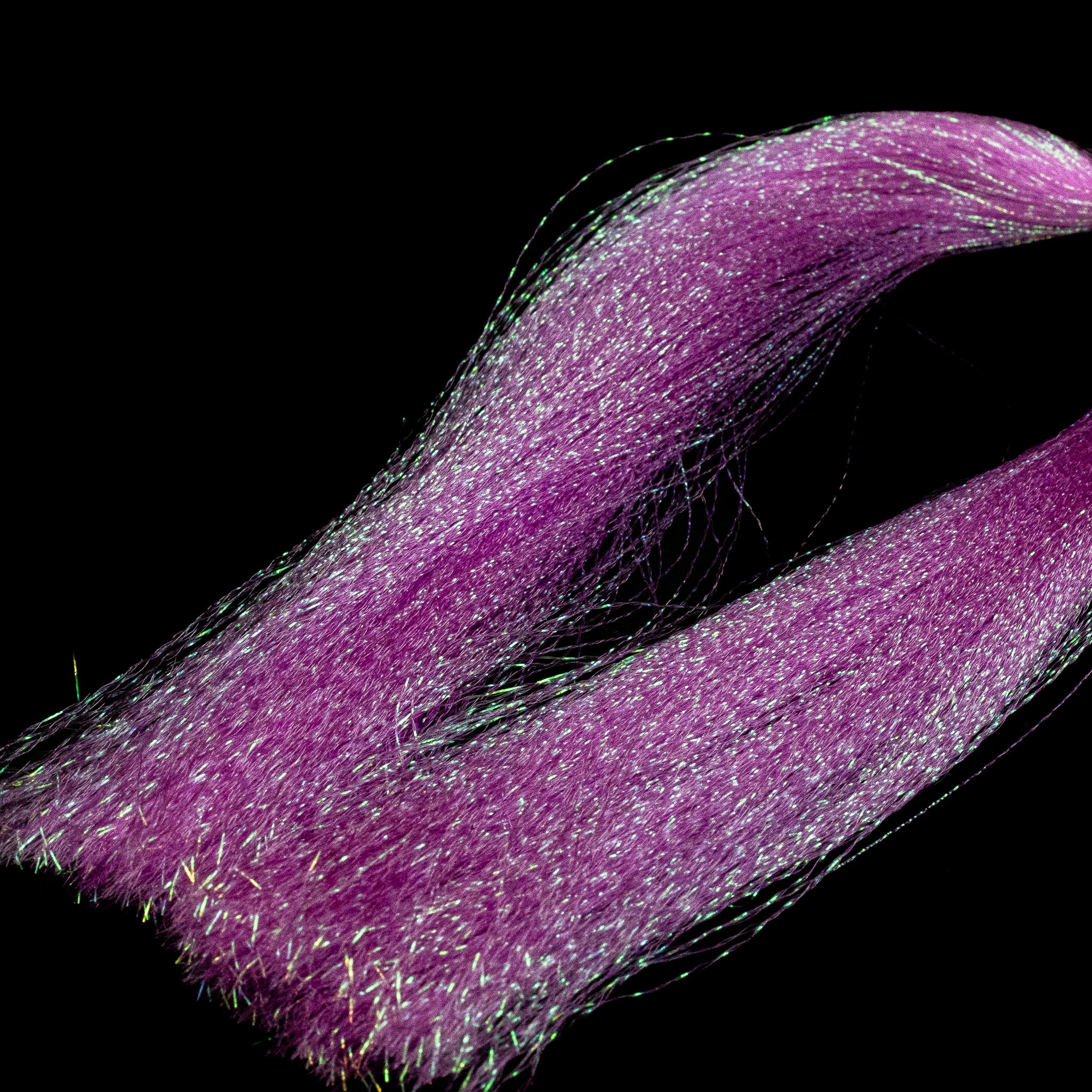 French Quarter Flash- Finatics Fly Company