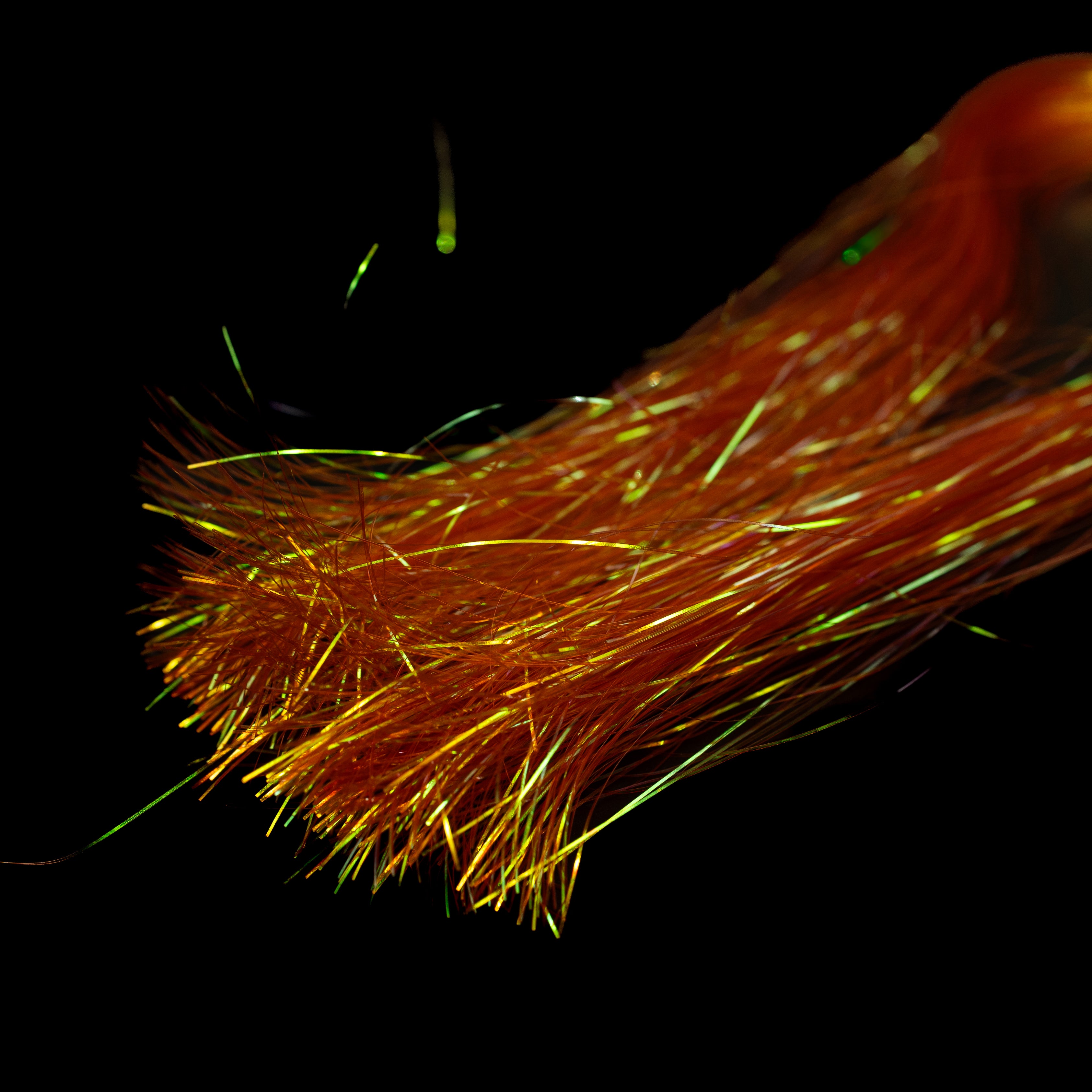 Canal St. Flash– Finatics Fly Company