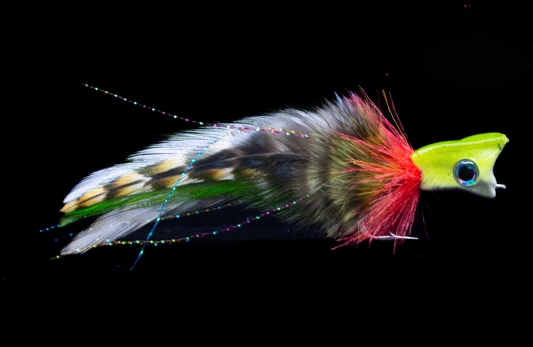 Swamp Donkey Popper
