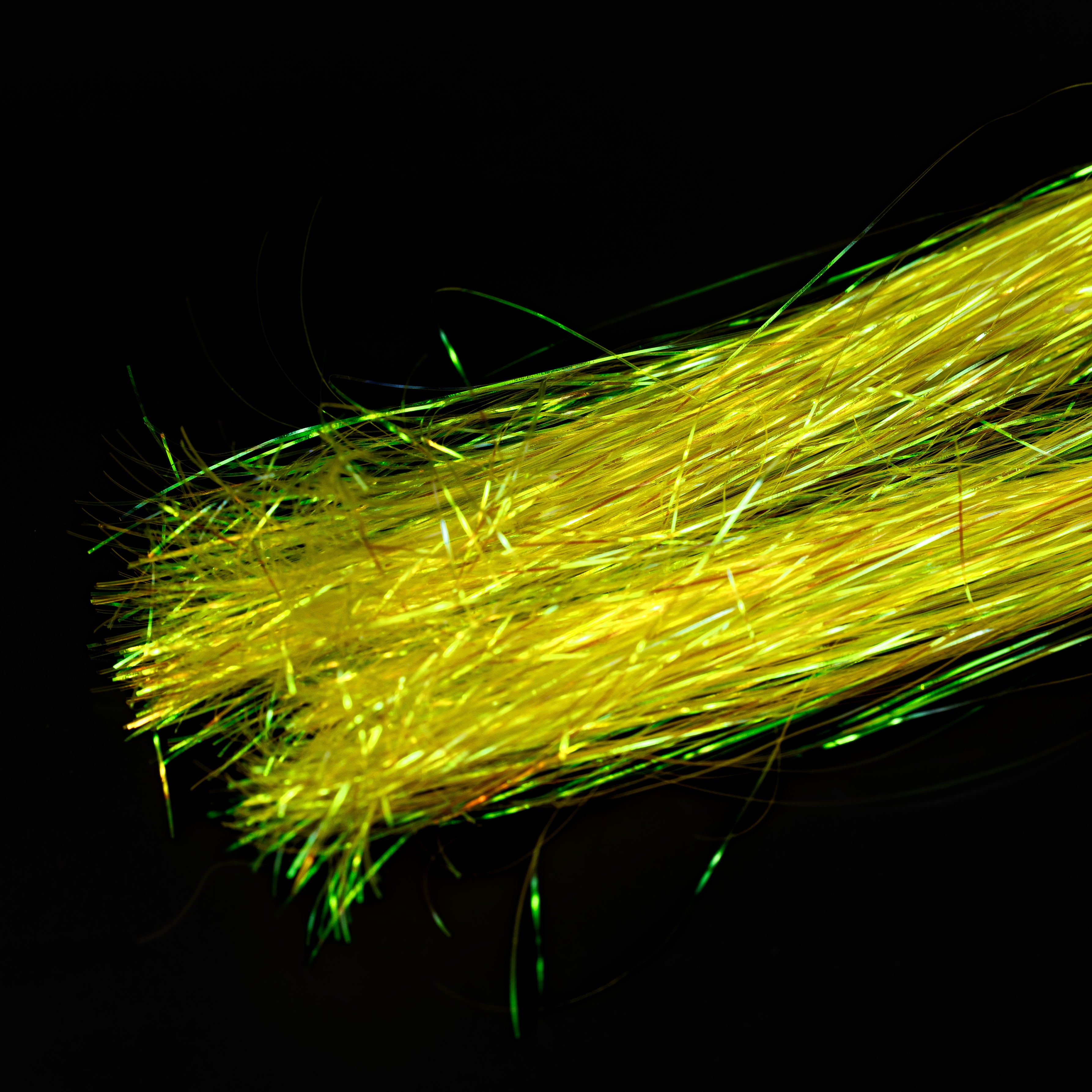 Canal St. Flash– Finatics Fly Company