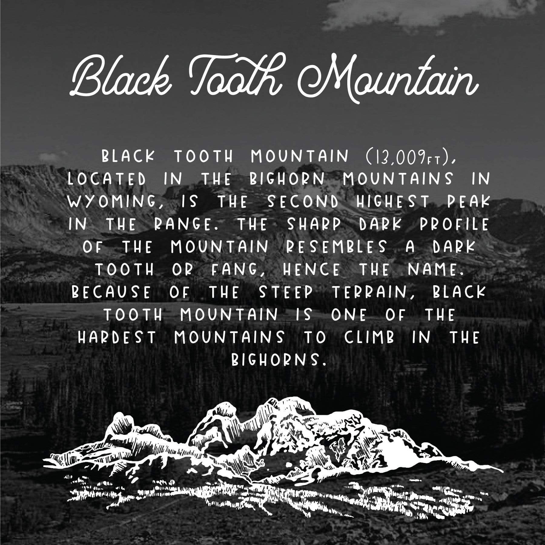 Black Tooth Mountain Bracelet