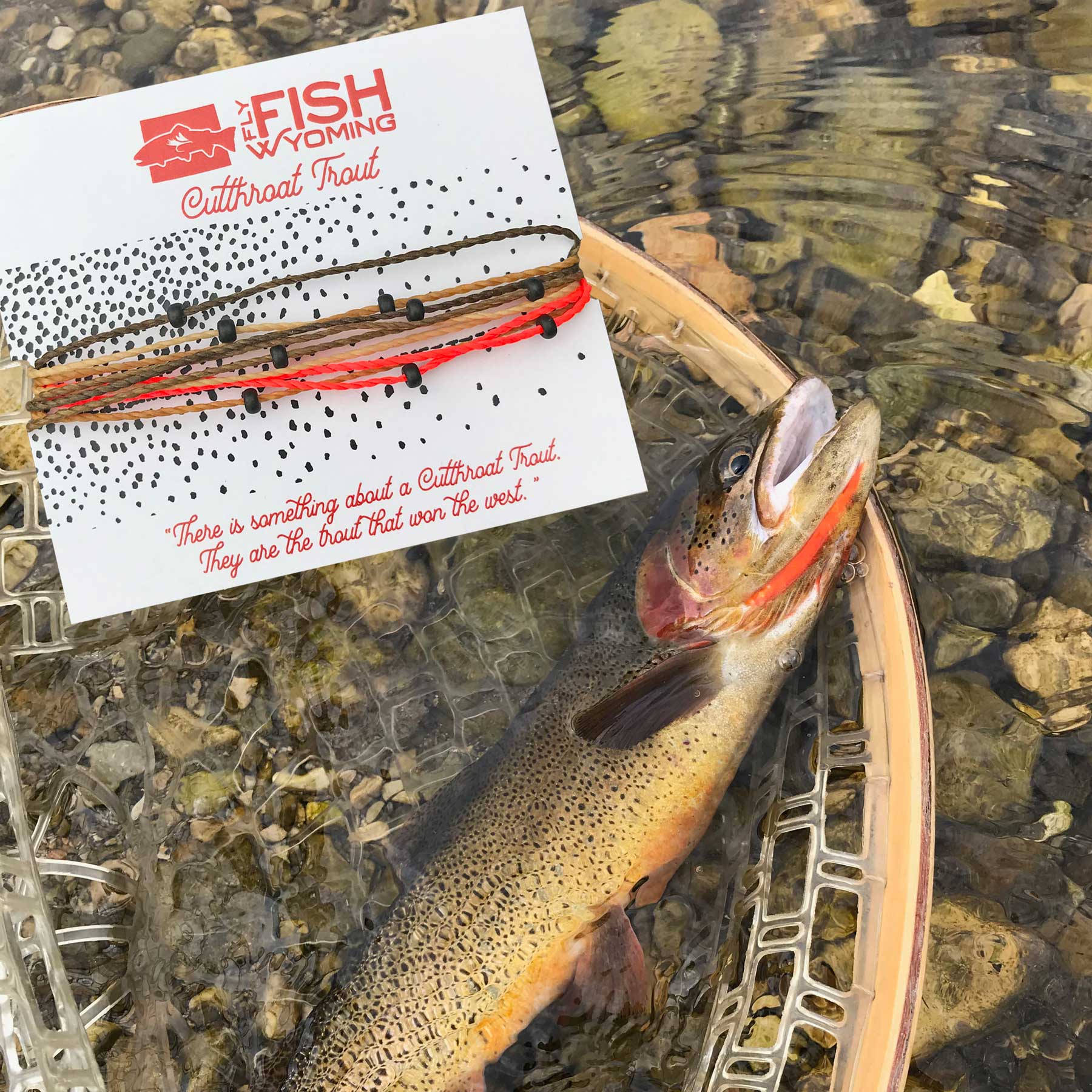 Wyoming Cutthroat Trout Pattern Bracelet