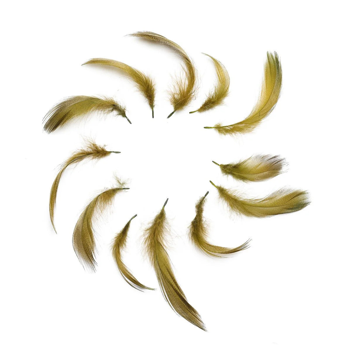 Mallard Duck Plumage – 1/4 oz