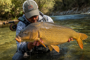 Carp