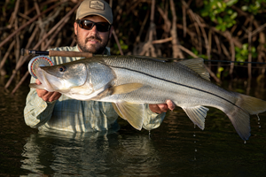 Snook